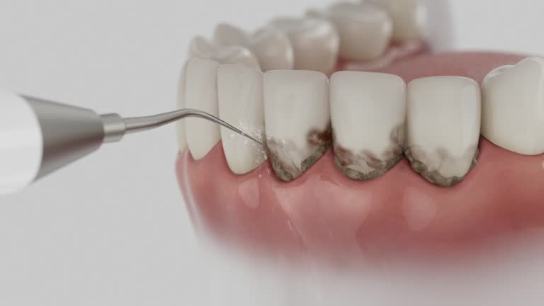 Reliable Dental contractor in Forestbrook, SC by Dentist Open Now